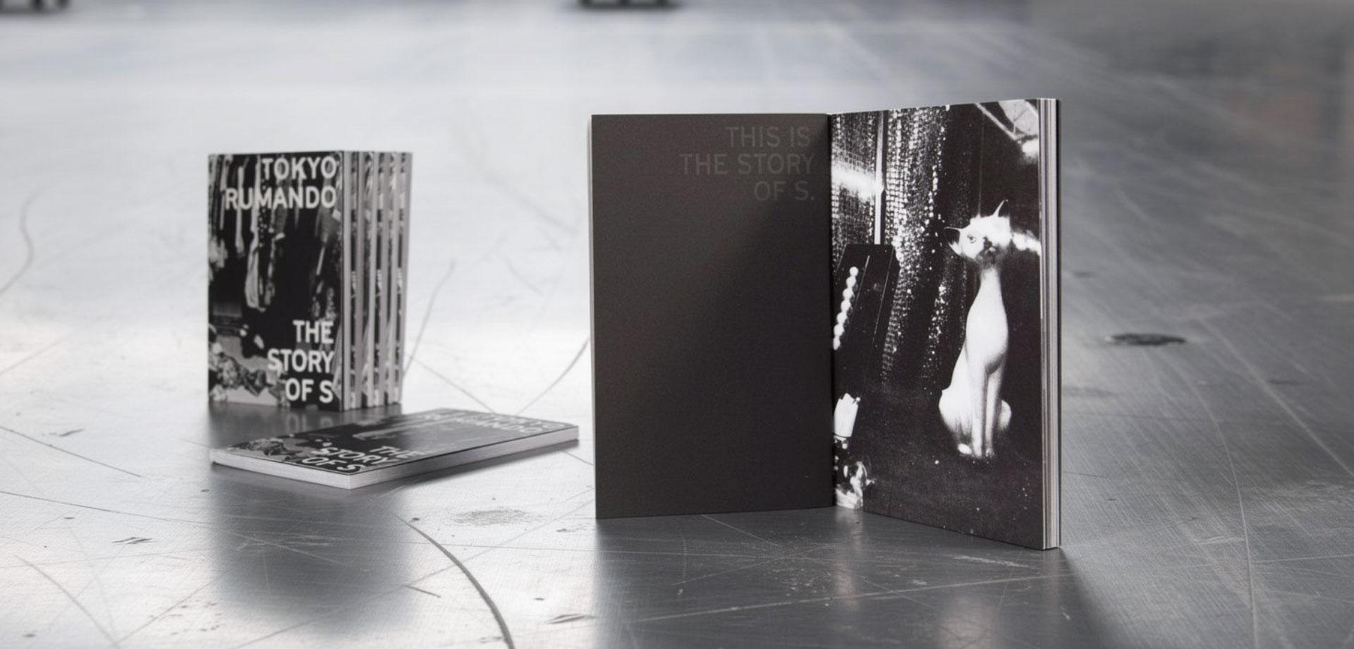 Johanna Unterberg, Buchgestaltung Tokyo Rumando, The Story of S, Museum Folkwang