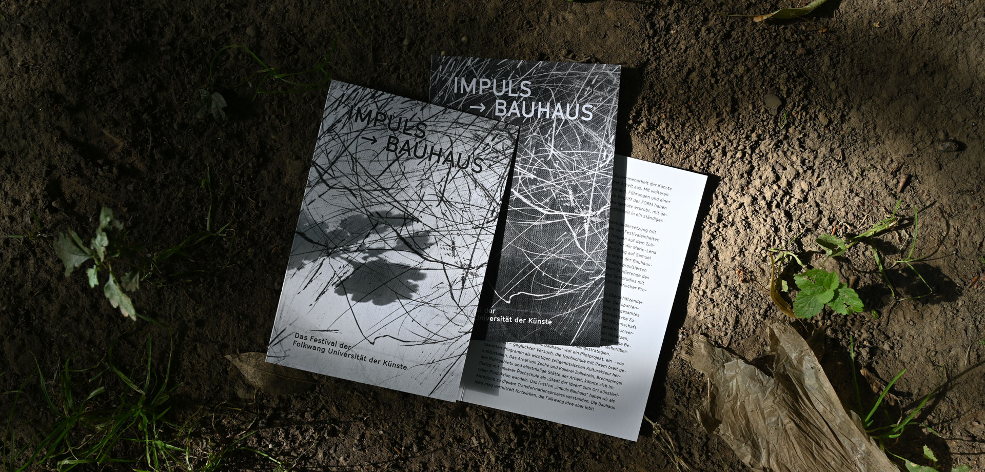 Johanna Unterberg, Buchgestaltung für den Künstler Axel Braun