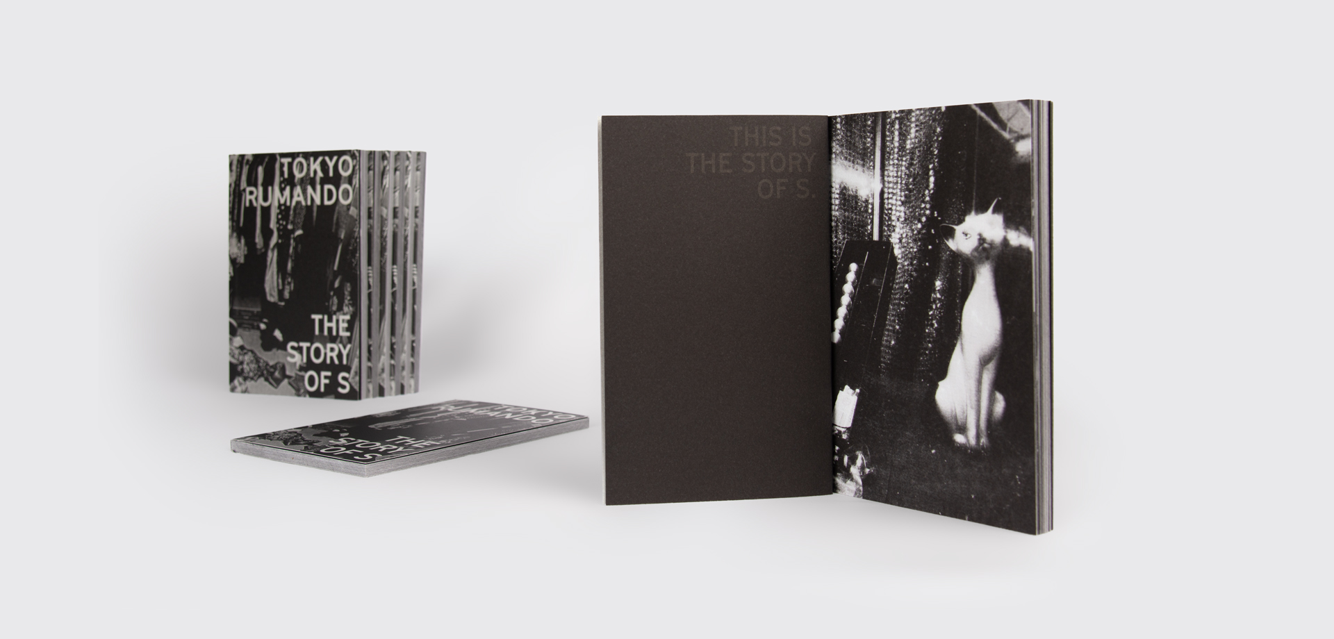 Johanna Unterberg, Buchgestaltung Tokyo Rumando, The Story of S, Museum Folkwang