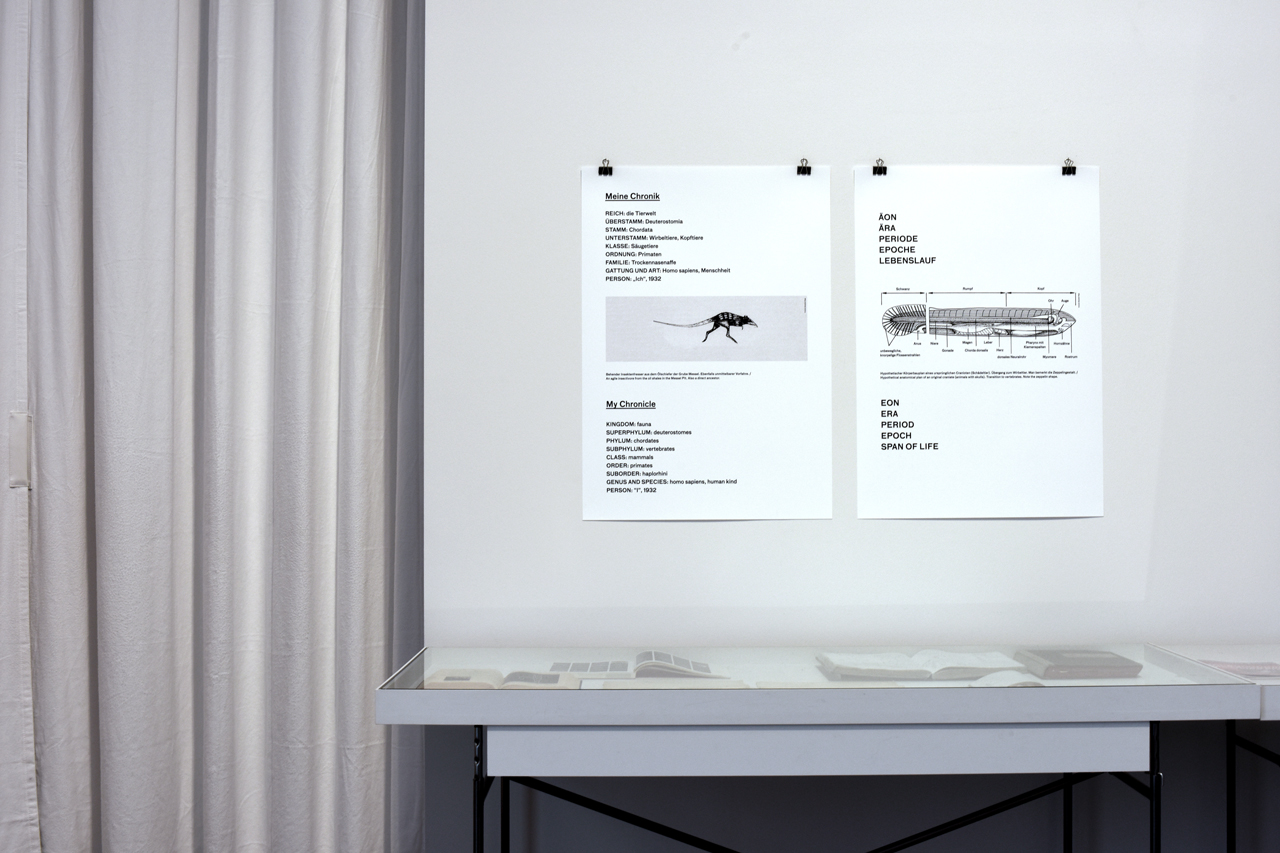 Johanna Unterberg, Ausstellungsgestaltung