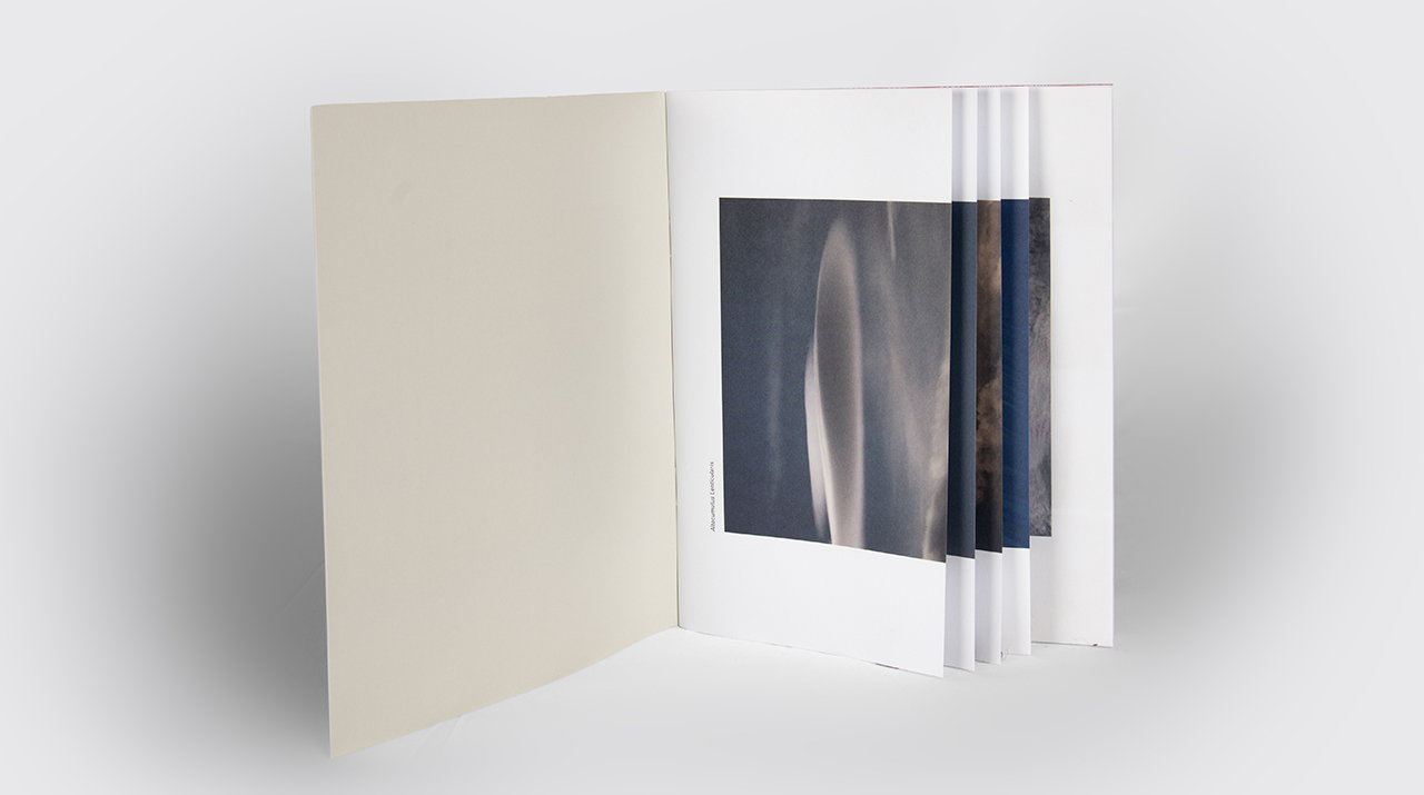 Johanna Unterberg, Ausstellungspublikation Design