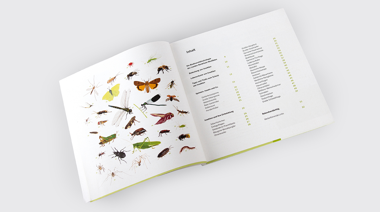 Johanna Unterberg, Buchgestaltung