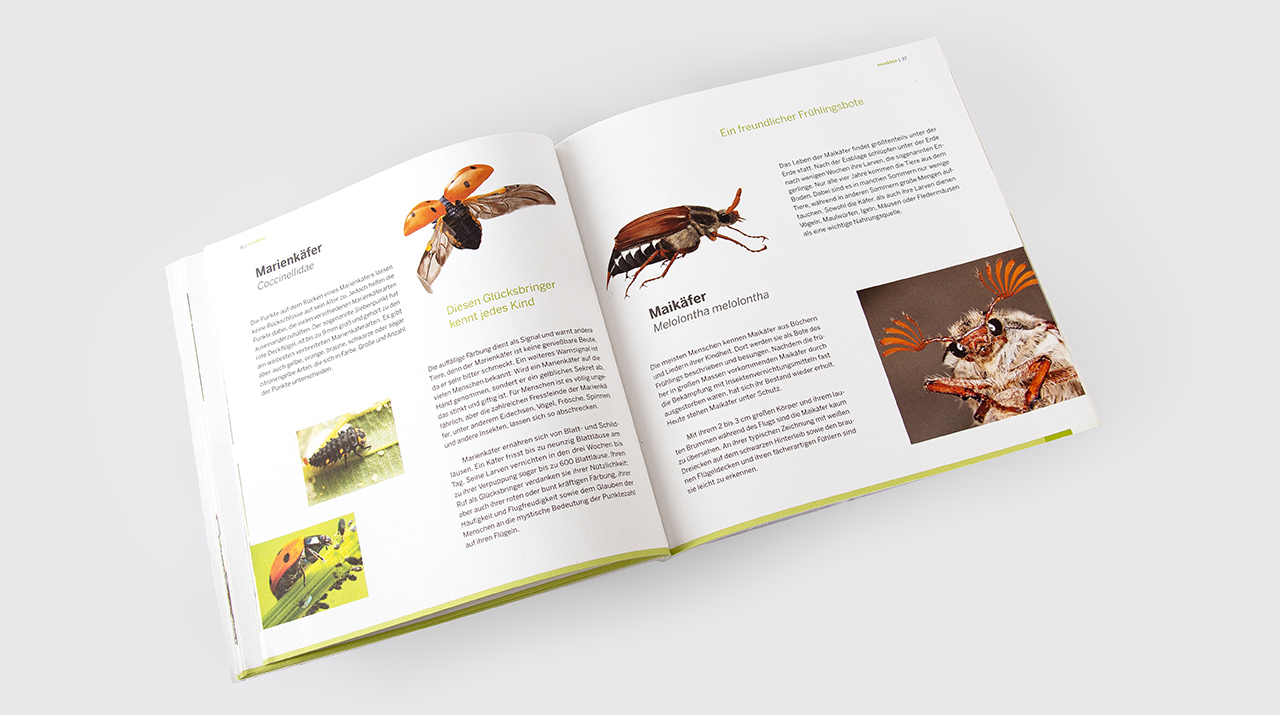 Johanna Unterberg, Buchgestaltung