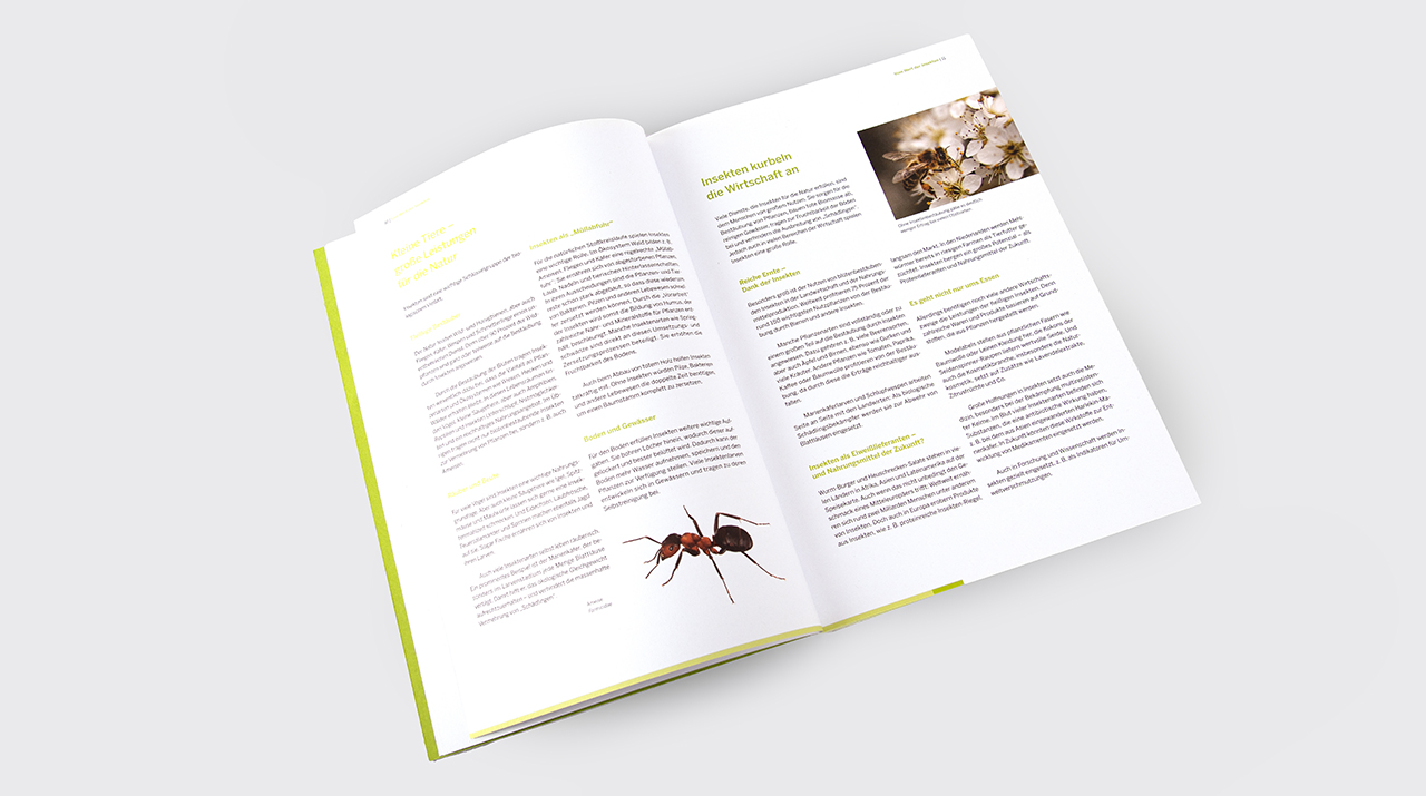 Johanna Unterberg, Buchgestaltung